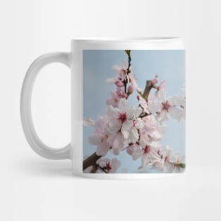 Almond Blossom Mug